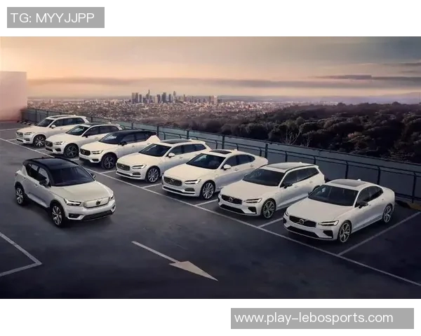 瑞典足球比赛精彩回顾与未来展望探讨